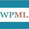WPML String Translation Addon 1 1