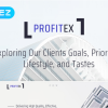 Profitex Bright Architecture Agency Elementor WordPress Theme