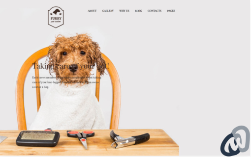 Furry Pet Grooming WordPress Theme