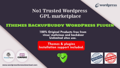 IThemes BackupBuddy WordPress Plugin