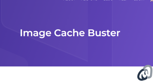 AdSanity – Image Cache Buster
